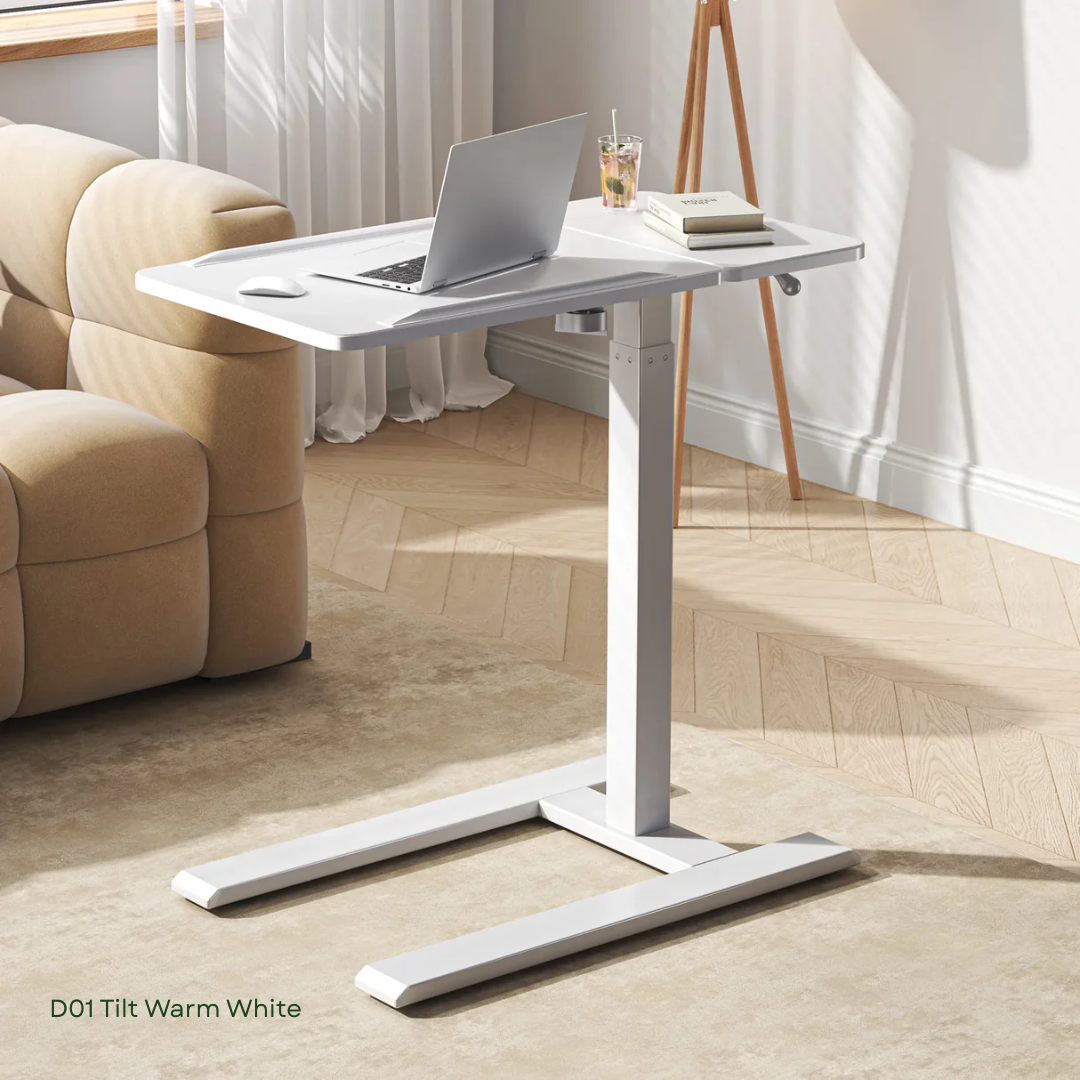 SIHOO D01 Multifunctional Sit-Stand Ergonomic Desk – Sihoo