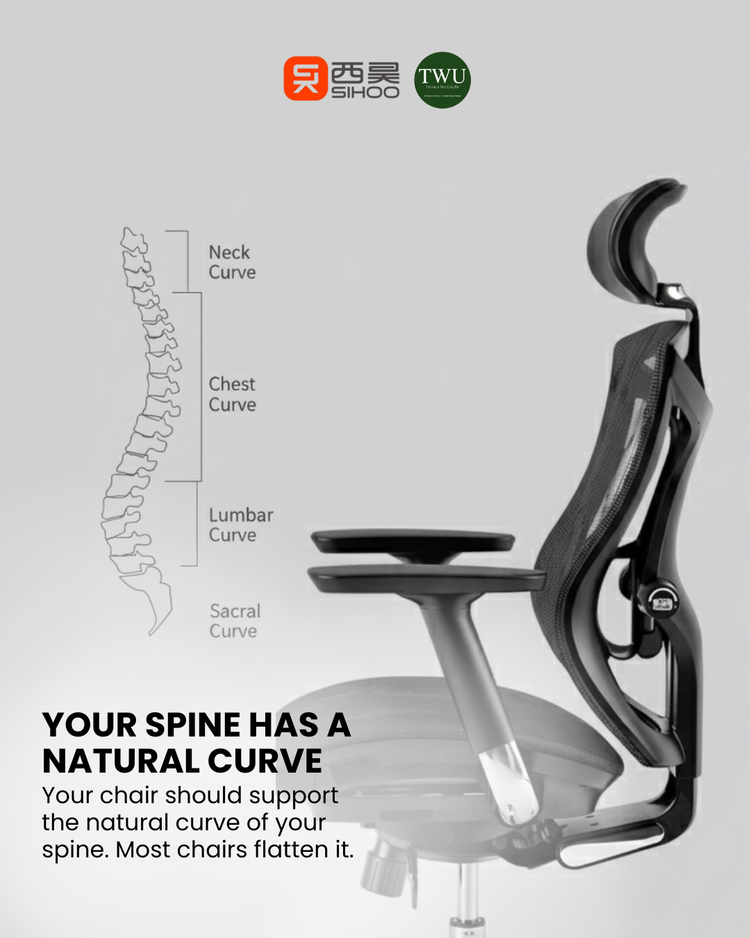 Sihoo Ergonomic Office Chair - Why Your Sihoo Ergonomic Office Chair's Lumbar Support Matters More Than You Think