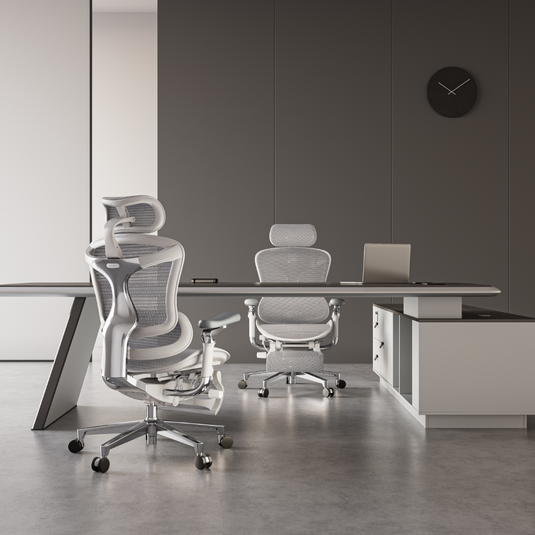 Sihoo Ergonomic Chair Philippines Complete Ergonomics Guide