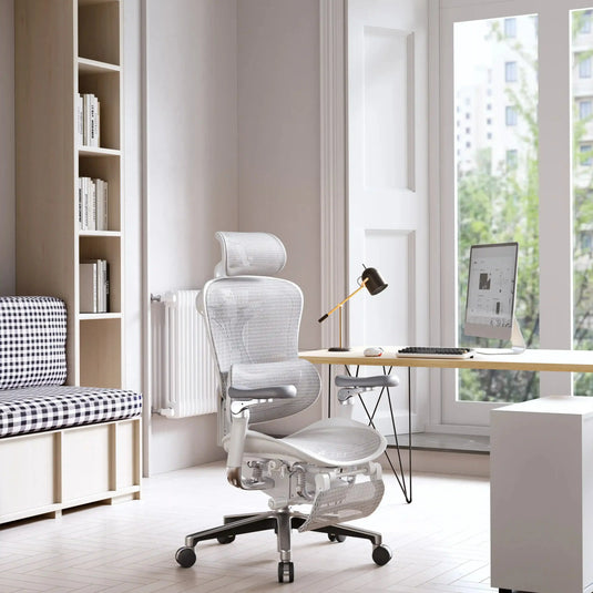 How to Choose an Ergonomic Office Chair and Understanding the Price Points in the Philippines