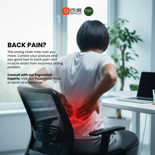 Selecting an Ergonomic Office Chair for Scoliosis, Back Pain, Arthritis, and more