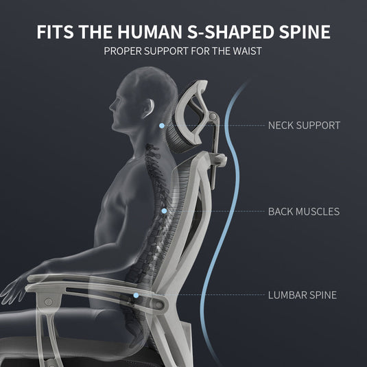 Best Ergonomic Chair for Back Pain: Your Complete Guide to Pain-Free Work in the Philippines