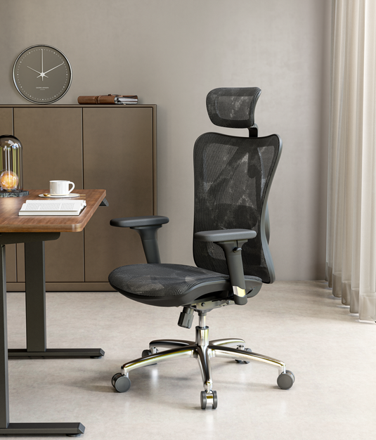 TWU PH x Sihoo M57 Ergonomic Chair 