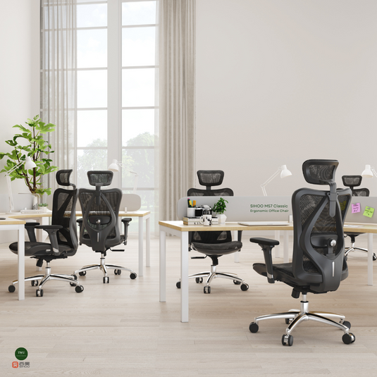 TWU PH x Sihoo Ergonomic Chairs