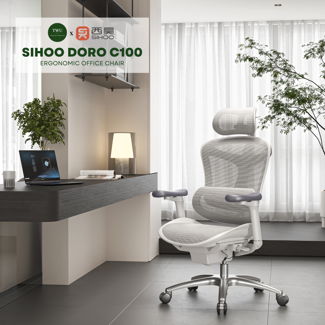 Sihoo Doro C100 Classic Ergonomic Office Chair