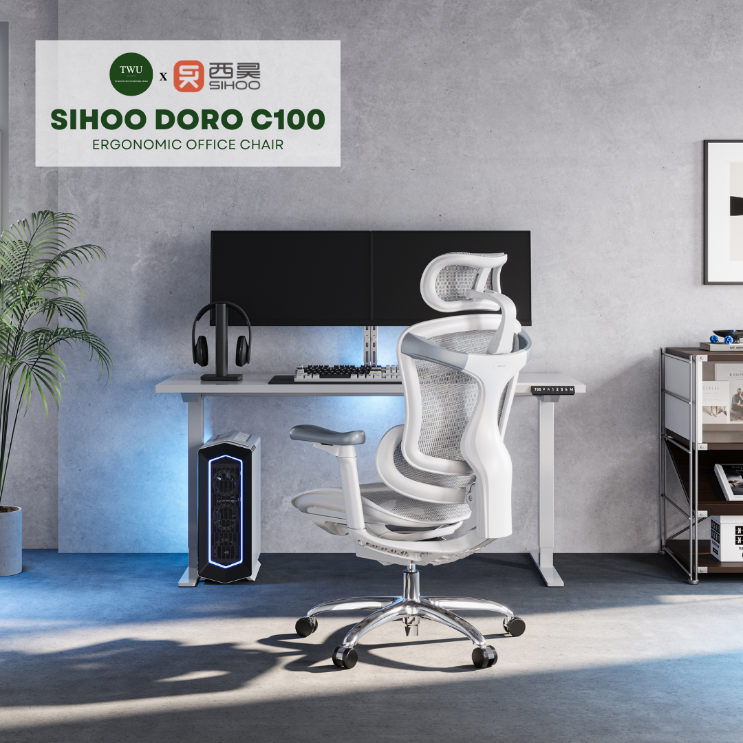 Sihoo Doro C100 Classic Ergonomic Office Chair