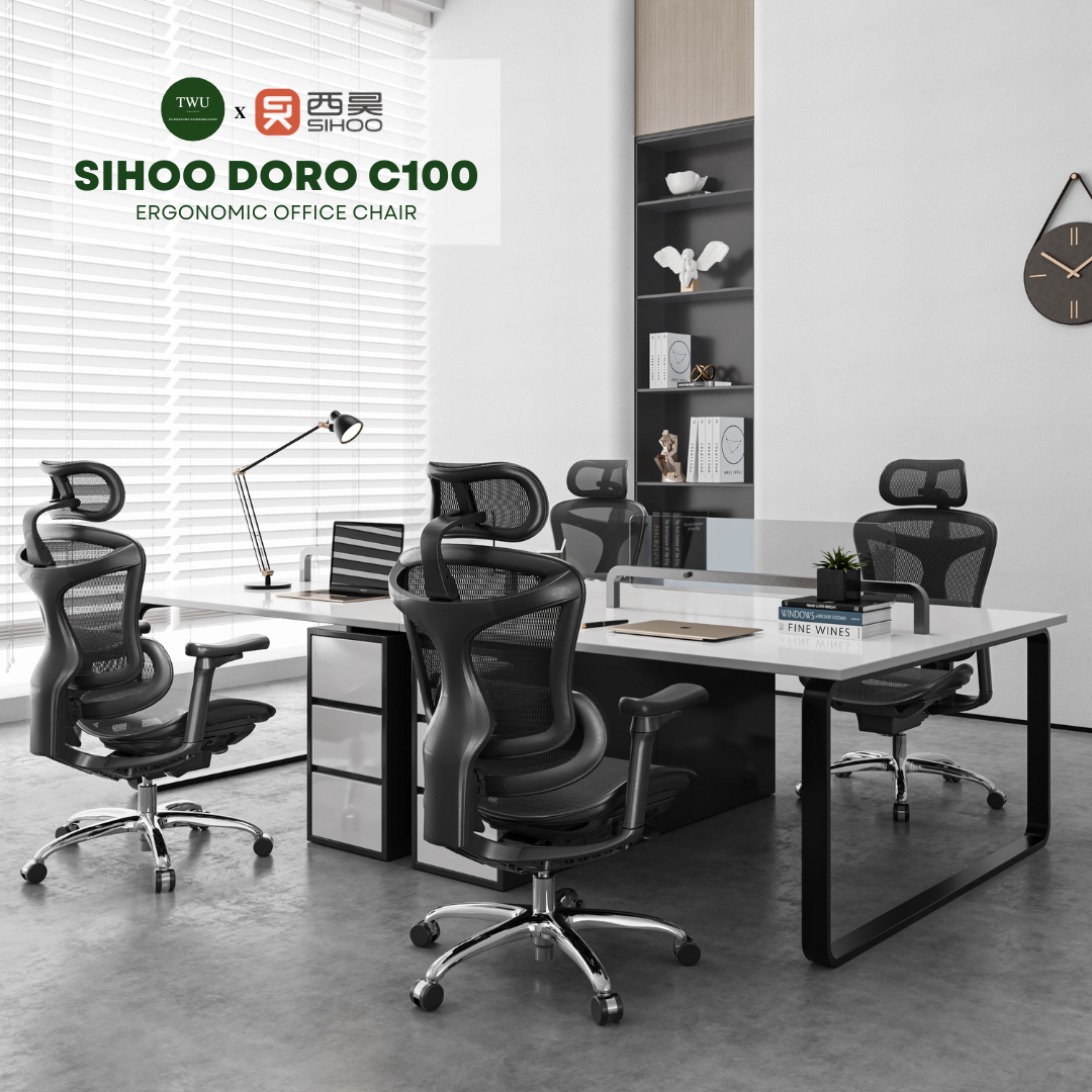 Sihoo Doro C100 Classic Ergonomic Office Chair