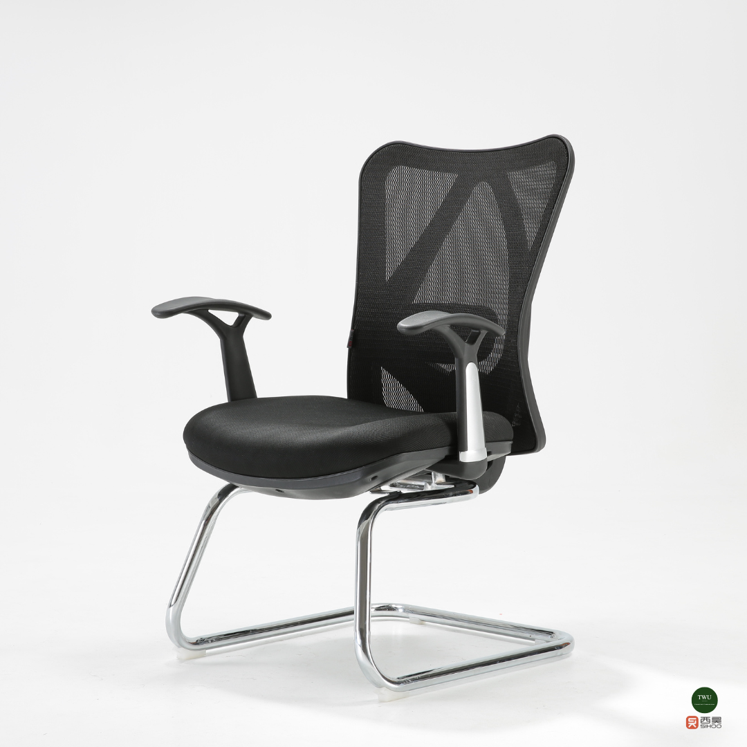 SIHOO M16 Non swivel Ergonomic Chairs TWU PH x Sihoo