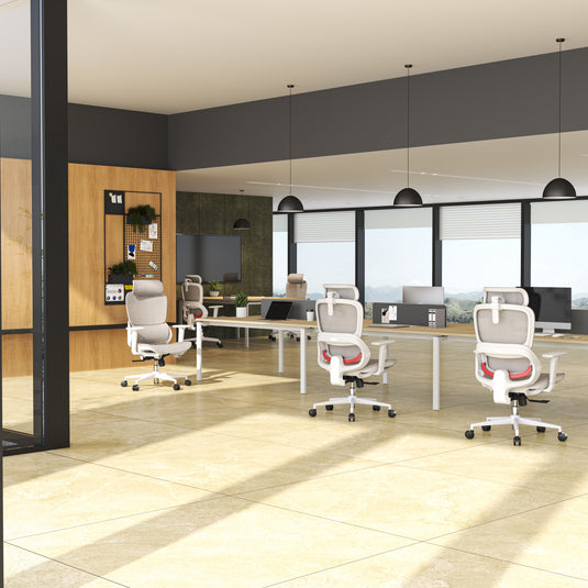 Sihoo B100 Ultra Ergonomic Office Chair