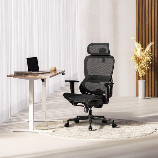 Sihoo B100 Ultra Ergonomic Office Chair