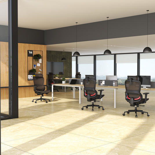 Sihoo B100 Ultra Ergonomic Office Chair