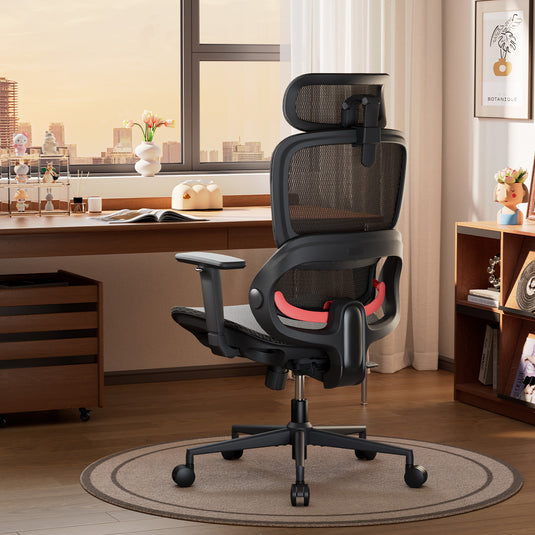 Sihoo B100 Ultra Ergonomic Office Chair