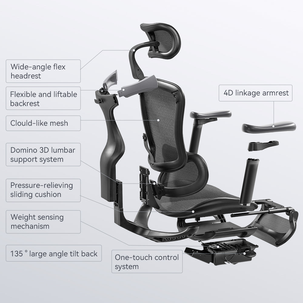 Sihoo Doro C100 Classic Ergonomic Office Chair