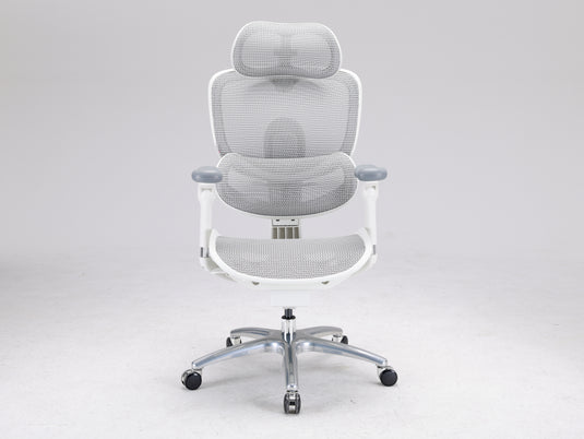 Sihoo Doro C300 LITE V2 Ergonomic Chair