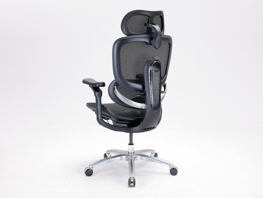 Sihoo Doro C300 LITE V2 Ergonomic Chair