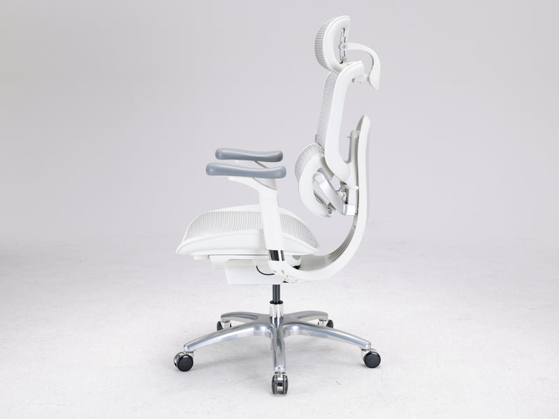 Load image into Gallery viewer, Sihoo Doro C300 LITE V2 Ergonomic Chair
