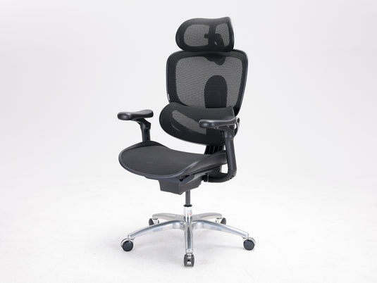 Sihoo Doro C300 LITE V2 Ergonomic Chair