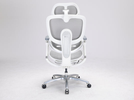 Sihoo Doro C300 LITE V2 Ergonomic Chair