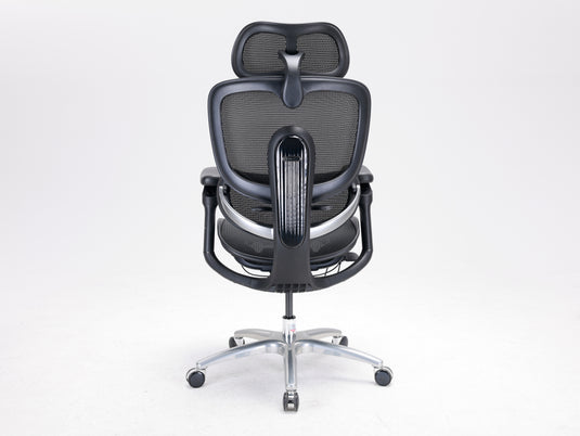 Sihoo Doro C300 LITE V2 Ergonomic Chair