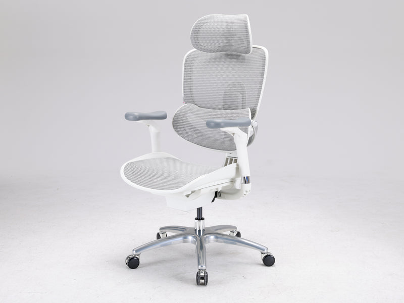 Load image into Gallery viewer, Sihoo Doro C300 LITE V2 Ergonomic Chair
