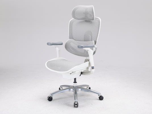 Sihoo Doro C300 LITE V2 Ergonomic Chair
