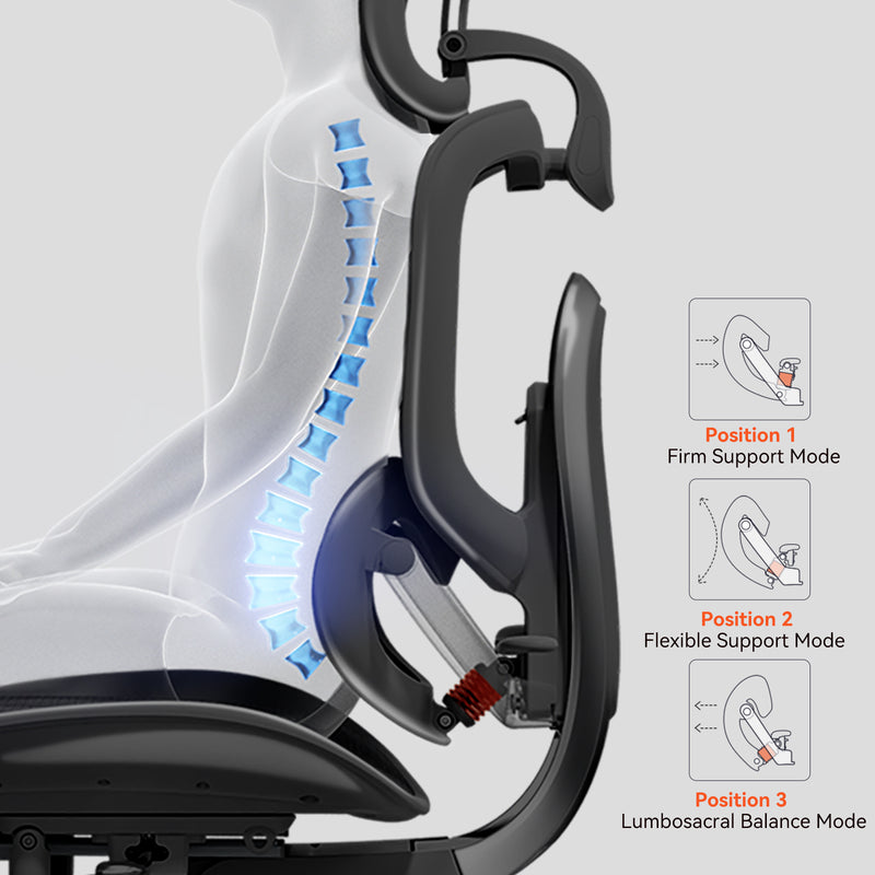 Load image into Gallery viewer, Sihoo Doro C500 V2 Premium Ergonomic Executive Chair
