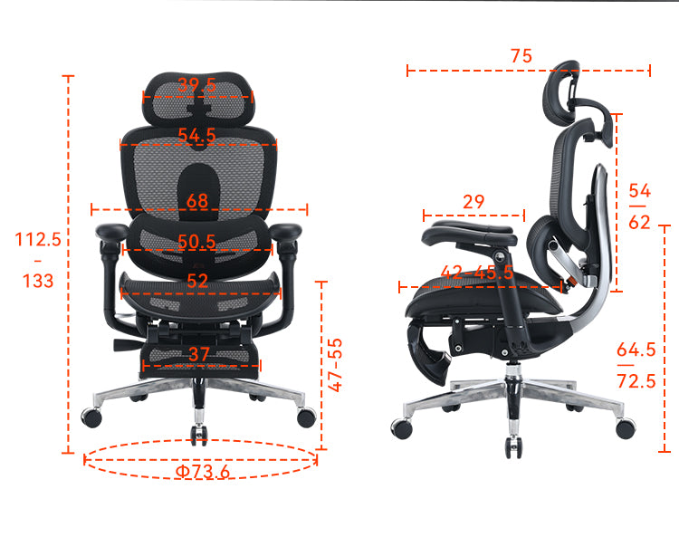 Load image into Gallery viewer, Sihoo Doro C500 V2 Premium Ergonomic Executive Chair
