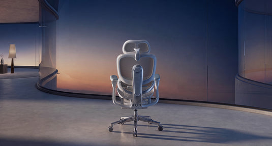 Sihoo Doro C500 V2 Premium Ergonomic Executive Chair