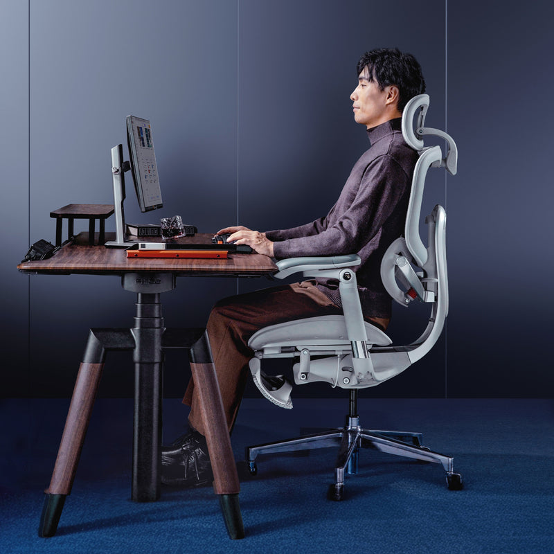 Load image into Gallery viewer, Sihoo Doro C500 V2 Premium Ergonomic Executive Chair
