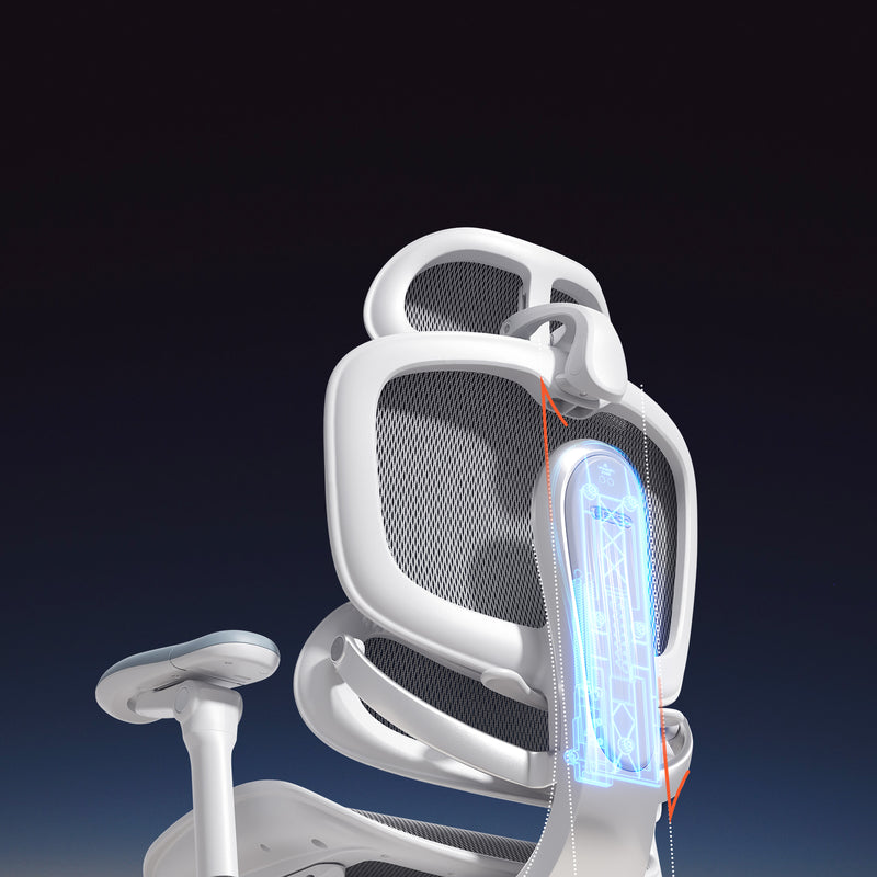 Load image into Gallery viewer, Sihoo Doro C500 V2 Premium Ergonomic Executive Chair
