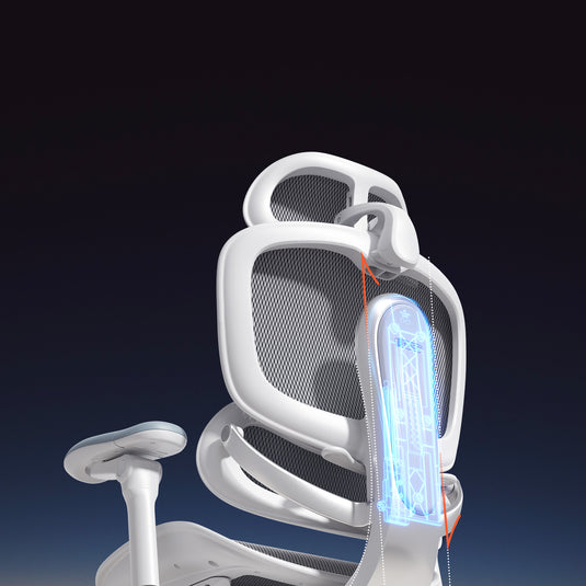 Sihoo Doro C500 V2 Premium Ergonomic Executive Chair