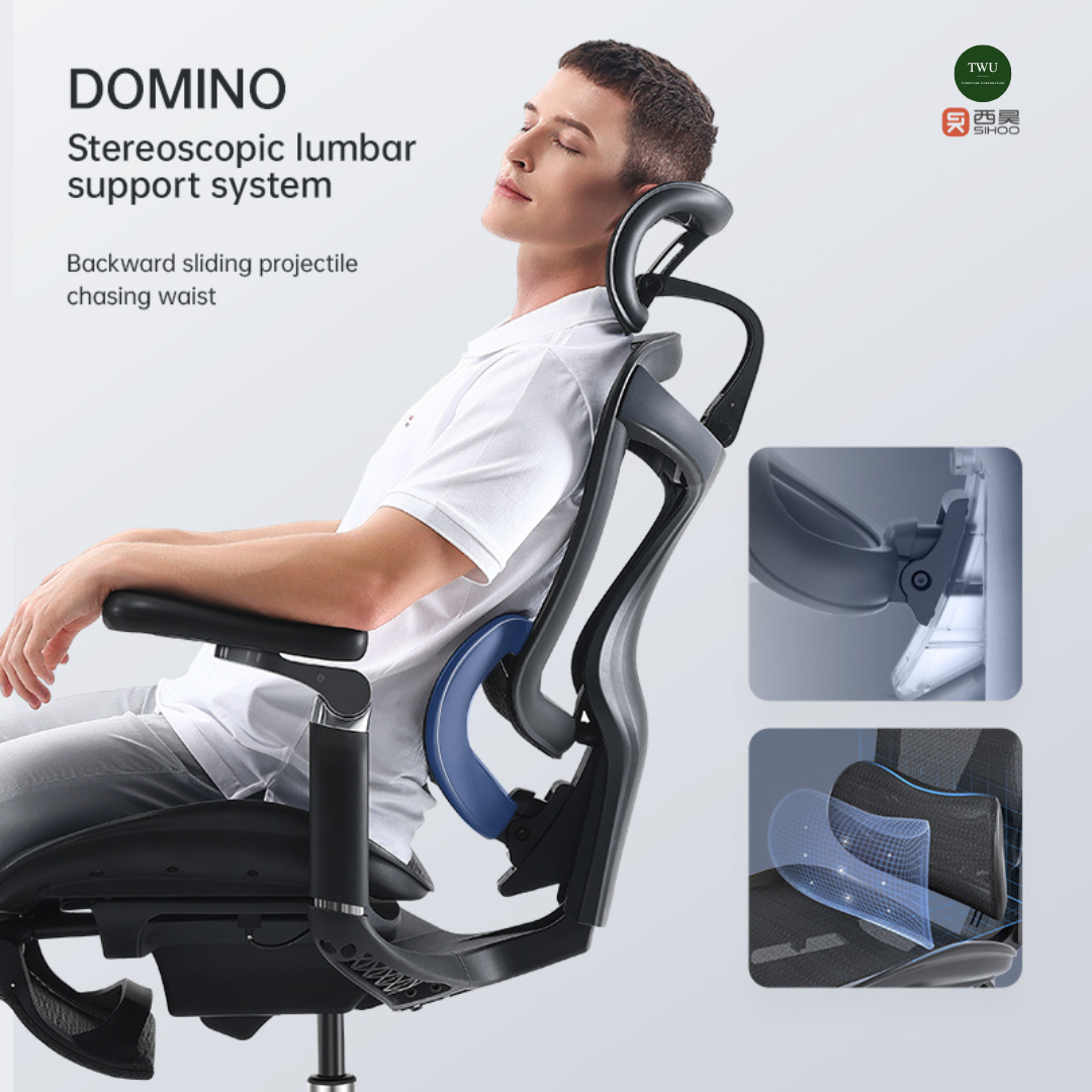 Sihoo DORO C300 (A3) Ergonomic Office Chair