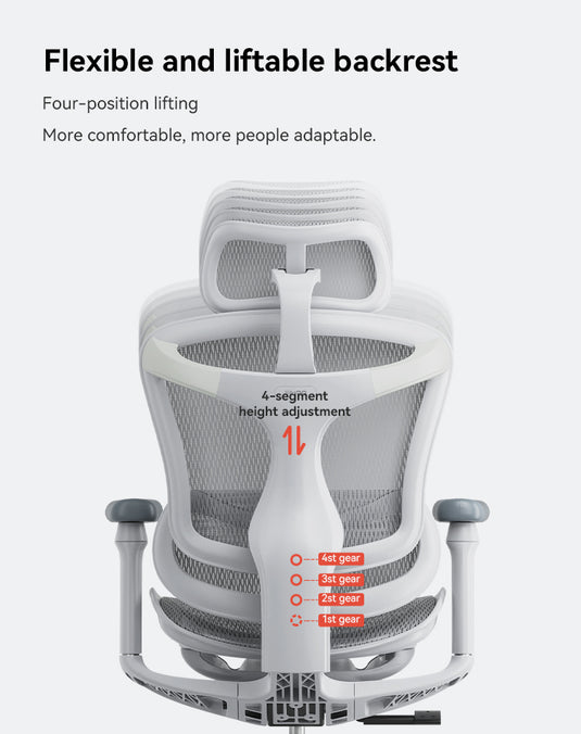 SIHOO Doro C100 Classic Ergonomic Office Chair