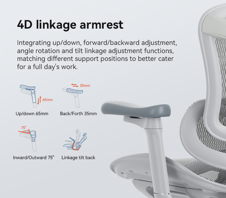 Load image into Gallery viewer, SIHOO Doro C100 Classic Ergonomic Office Chair
