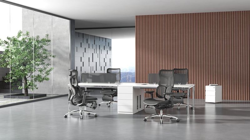 Load image into Gallery viewer, SIHOO Doro S100 Ergonomic Office Chair with Built-in Footrest
