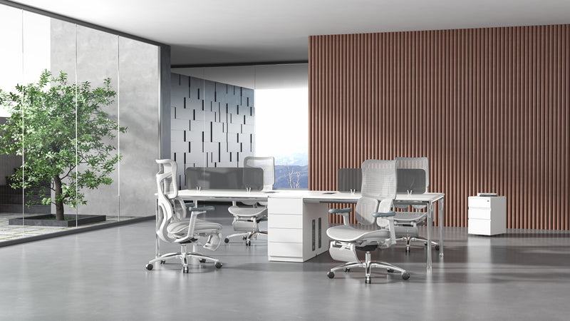 Load image into Gallery viewer, SIHOO Doro S100 Ergonomic Office Chair with Built-in Footrest
