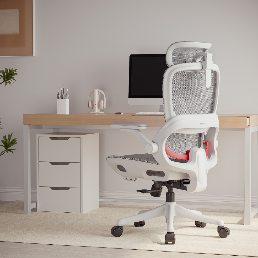 SIHOO B100 PRO Ergonomic Office Chair