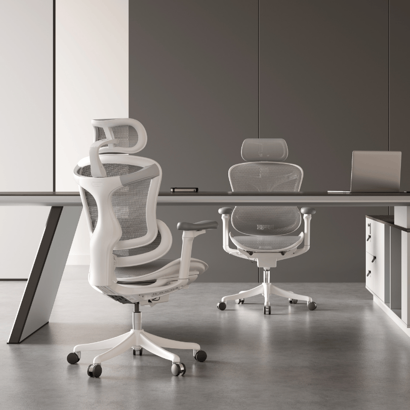 SIHOO Doro C100 Classic Ergonomic Office Chair