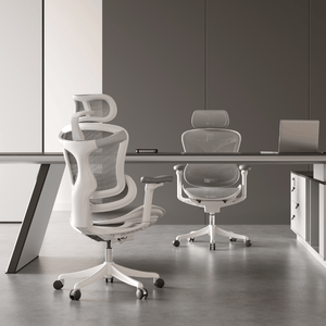 SIHOO Doro C100 Classic Ergonomic Office Chair