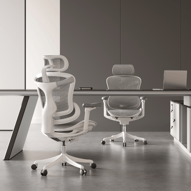 Load image into Gallery viewer, SIHOO Doro C100 Classic Ergonomic Office Chair
