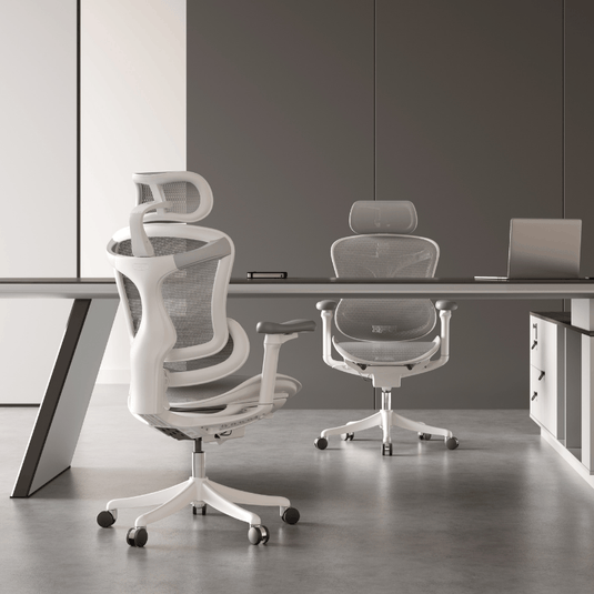 SIHOO Doro C100 Classic Ergonomic Office Chair