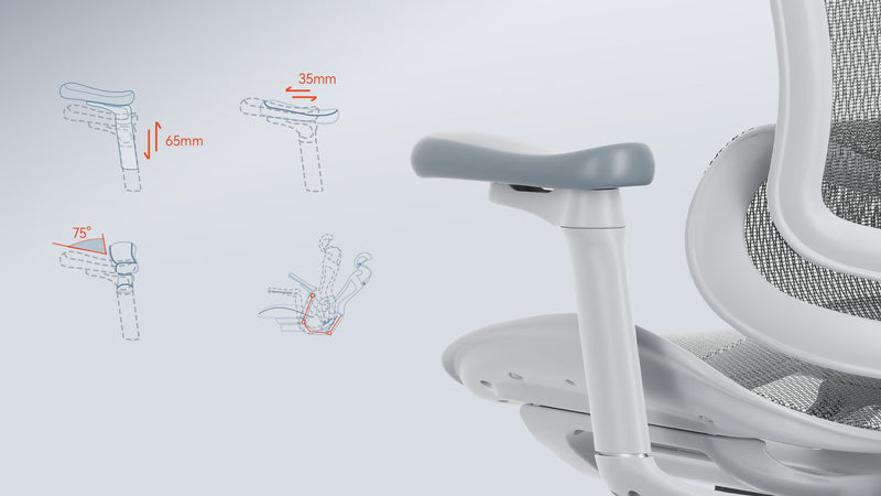 Load image into Gallery viewer, SIHOO Doro C100 Classic Ergonomic Office Chair
