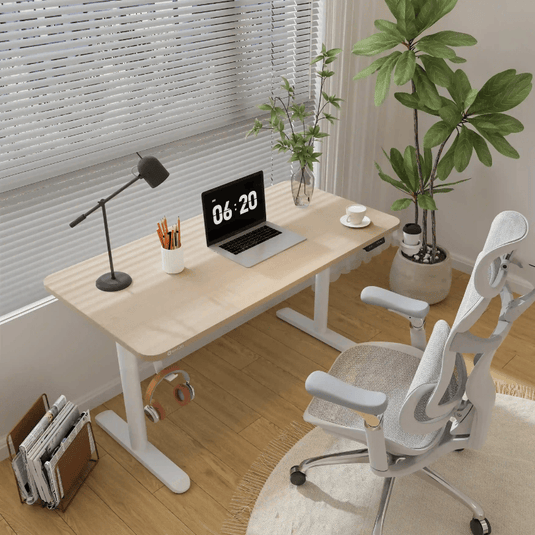 SIHOO D05 Ergonomic Standing Desk