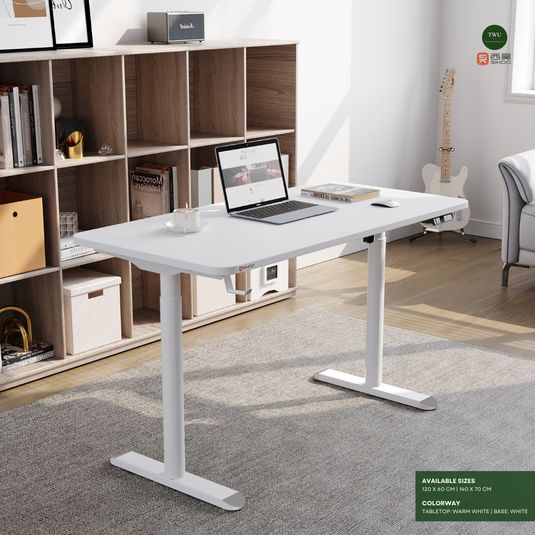 SIHOO D05 Ergonomic Standing Desk