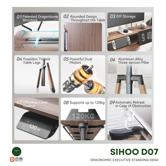 SIHOO D07 Elite Ergonomic Executive Standing Desk