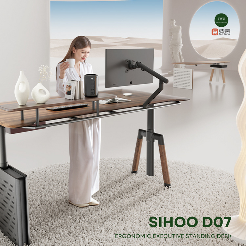 Load image into Gallery viewer, SIHOO D07 Elite Ergonomic Executive Standing Desk
