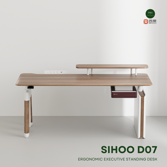SIHOO D07 Elite Ergonomic Executive Standing Desk
