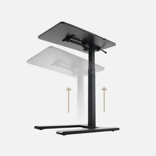 SIHOO D01 Multifunctional Sit-Stand Ergonomic Desk