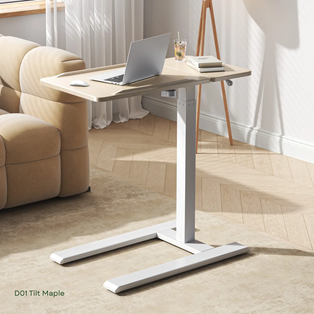 SIHOO D01 Multifunctional Sit-Stand Ergonomic Desk