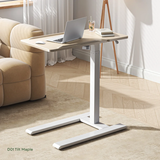 SIHOO D01 Multifunctional Sit-Stand Ergonomic Desk